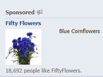facebook-ad-cornflowers