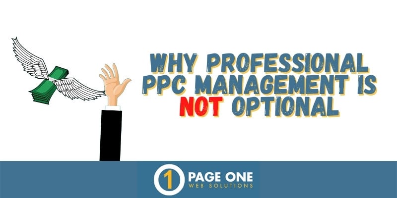 professional_ppc_management_not_optional-2